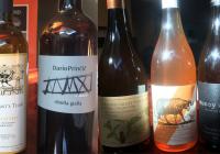 orange wine tasting