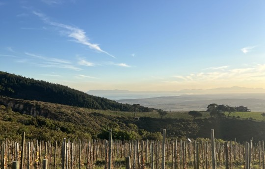 Looking down to Stellenbosch copy
