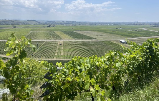 View of Gimblett Gravels copy